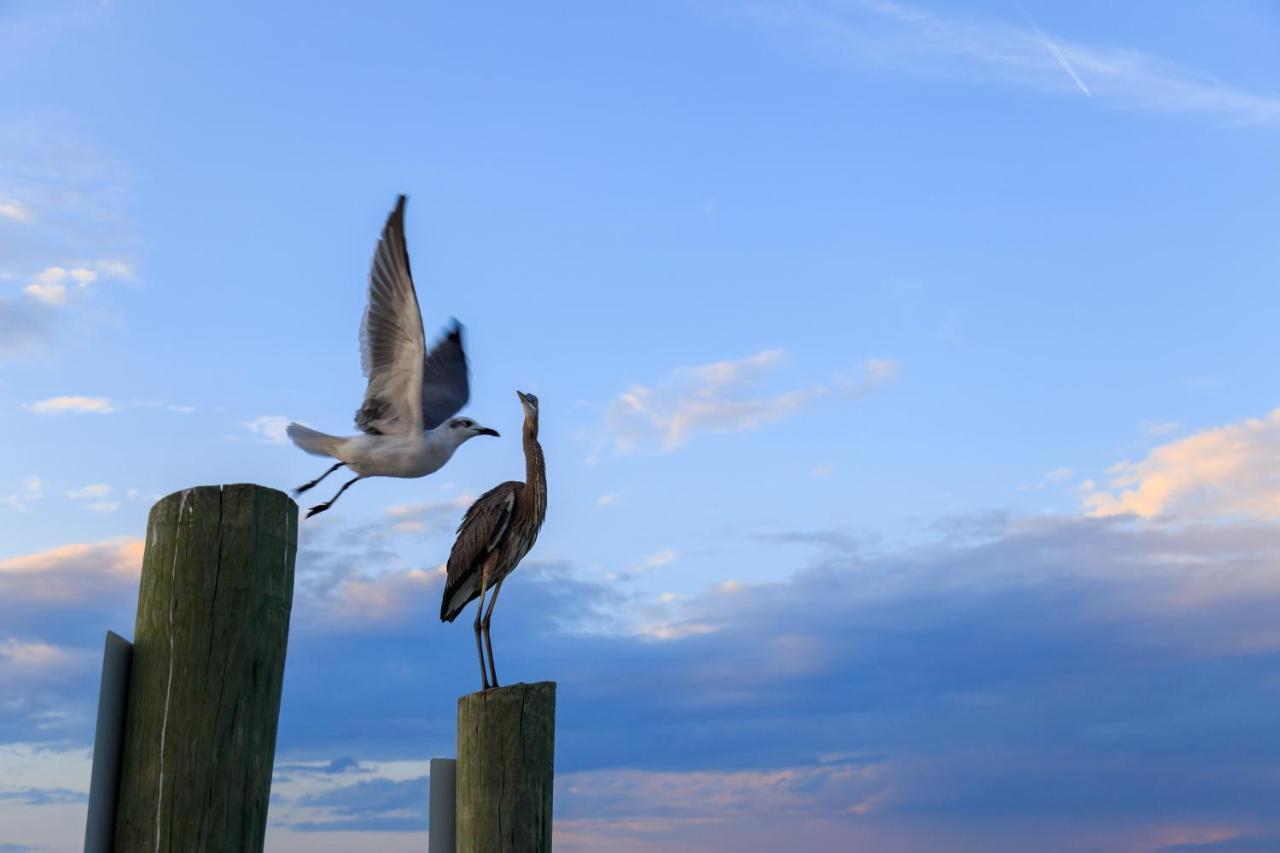 Captains Walk Condos Pulau Hilton Head Luaran gambar